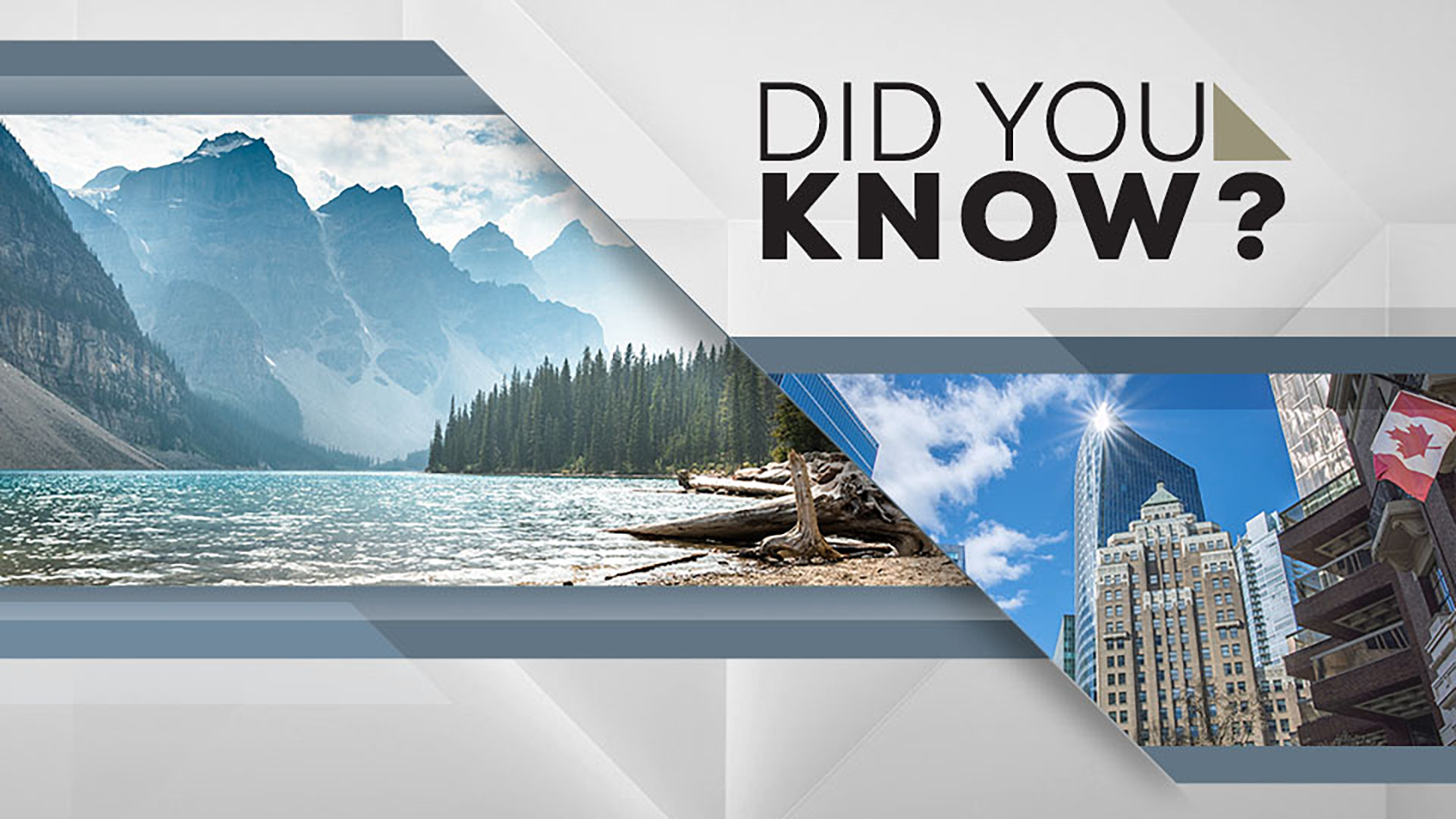 Did You Know?