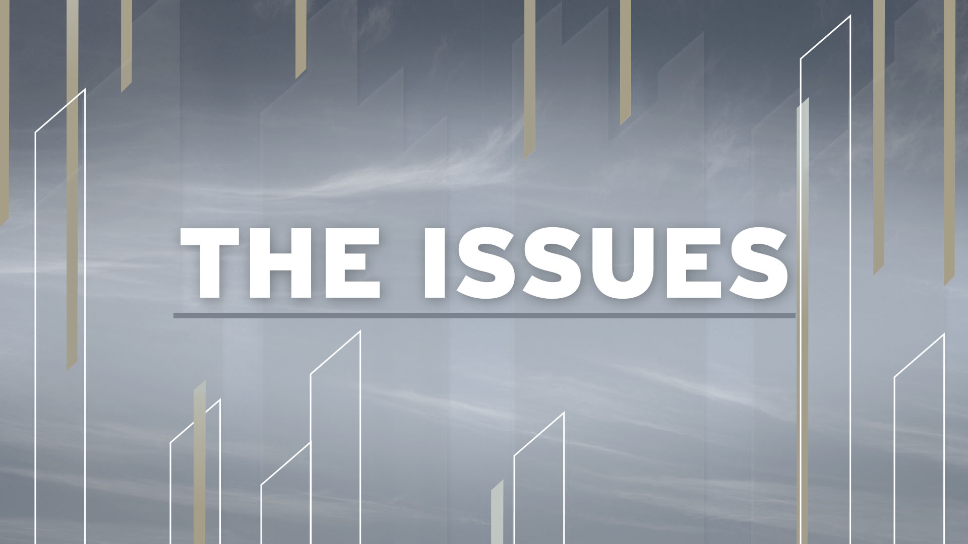 The Issues
